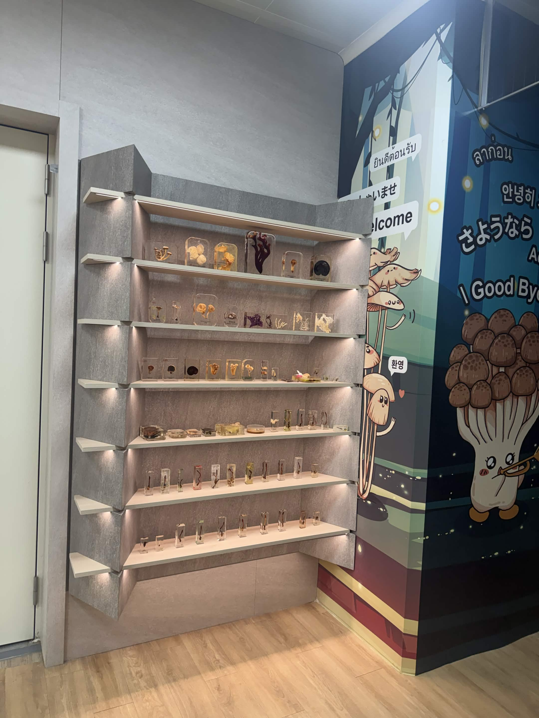 企業展示空間設計