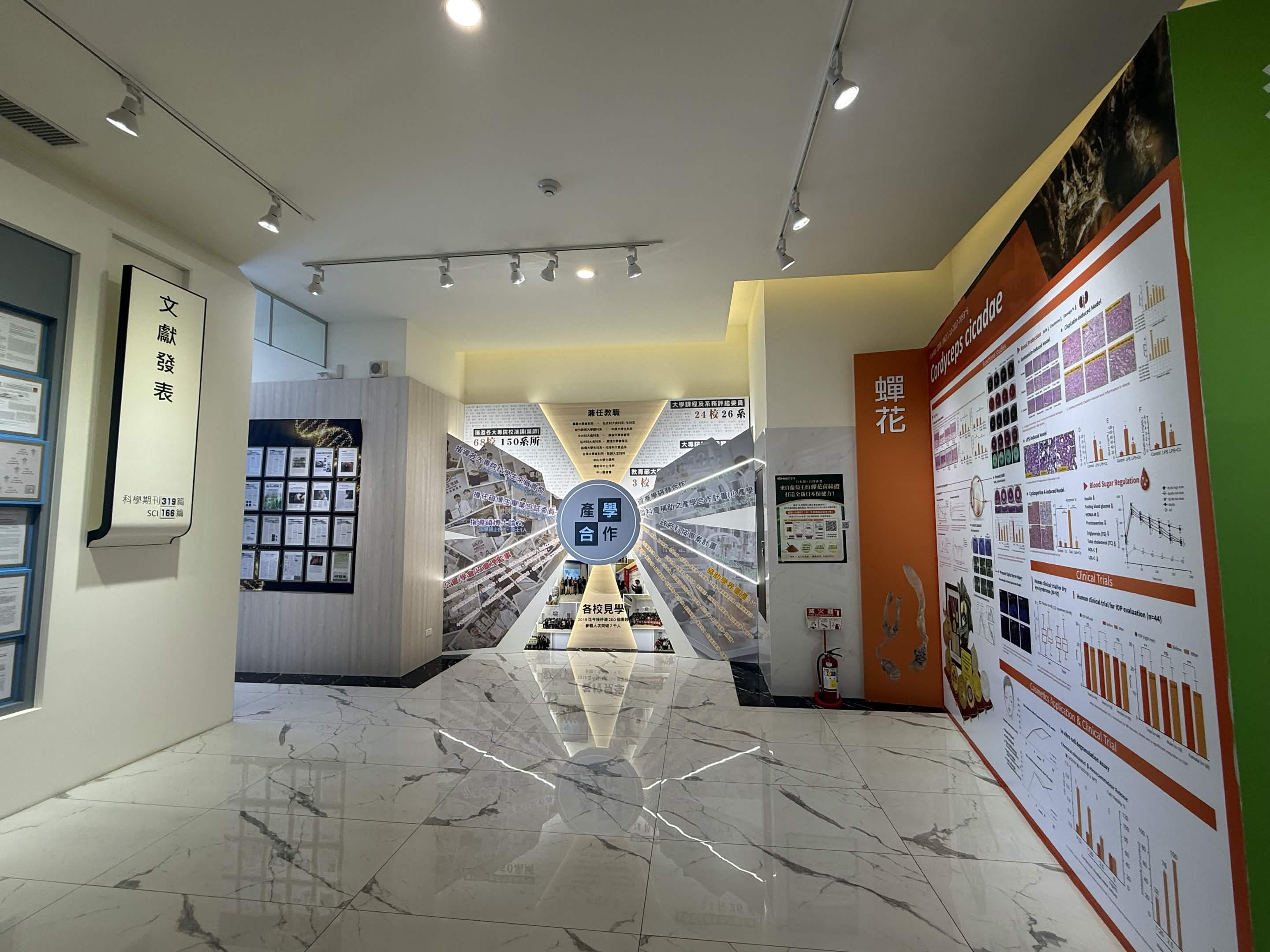 產品展示設計